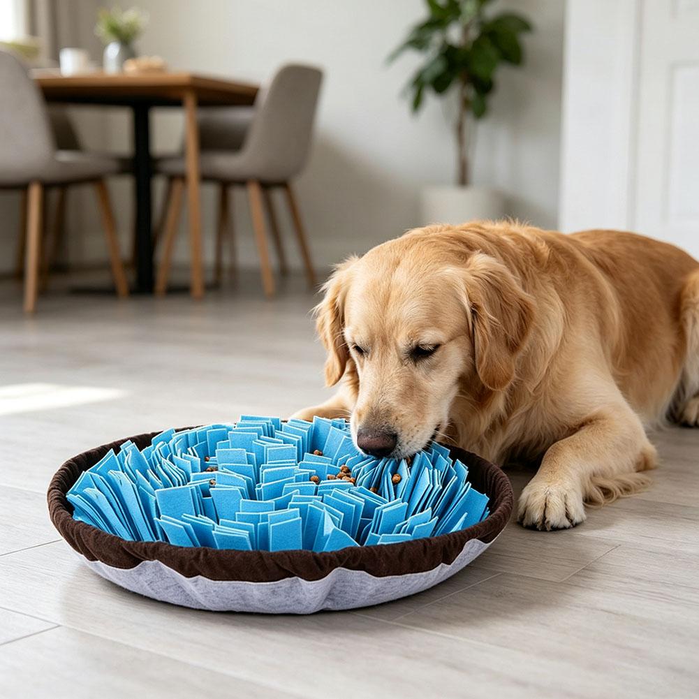 حصيرة تدريب للكلاب، لعبة تفاعل - مراجعة Dog Puzzle Feeder Toy وسعره