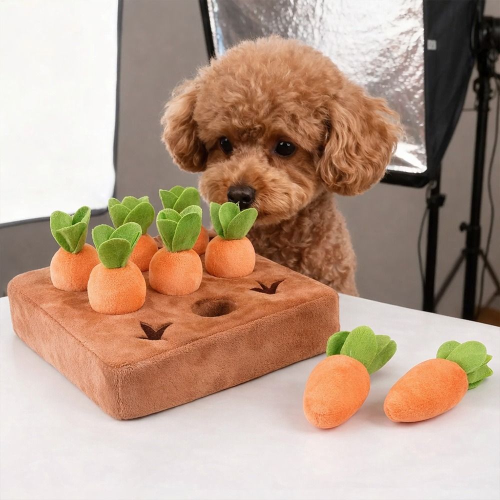 بساط تسلية للكلاب على شكل جزر  - مراجعة Dog Puzzle Feeder Toy وسعره