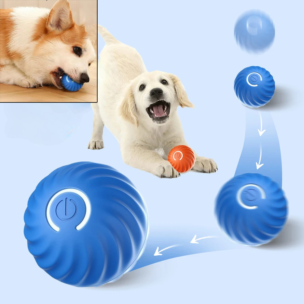 كرة لعبة متحركة تلقائيًا للكلا - مراجعة Automatic Moving Dog Ball وسعره